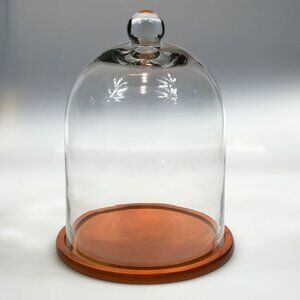 NIB 12" Clear Glass Display Dome on Wood Base